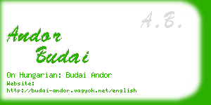 andor budai business card